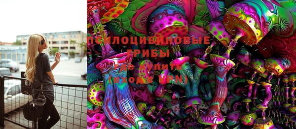 ешки Абаза